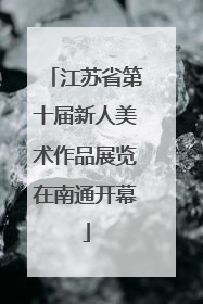 江苏省第十届新人美术作品展览在南通开幕