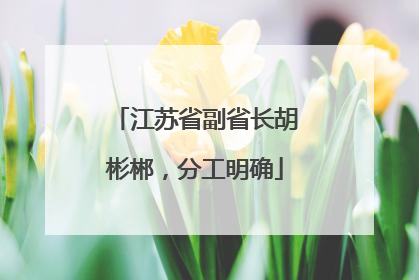 江苏省副省长胡彬郴，分工明确