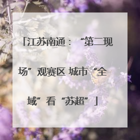 江苏南通：“第二现场”观赛区 城市“全域”看“苏超”
