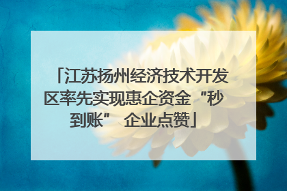 江苏扬州经济技术开发区率先实现惠企资金“秒到账” 企业点赞