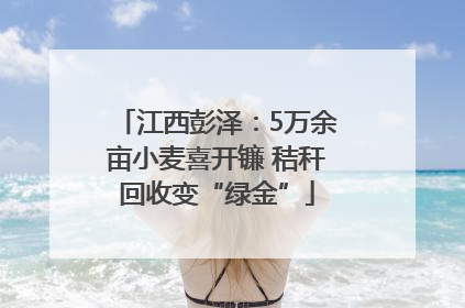 江西彭泽：5万余亩小麦喜开镰 秸秆回收变“绿金”