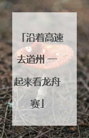 沿着高速去道州 一起来看龙舟赛