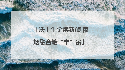 沃土生金焕新颜 粮烟融合绘“丰”景