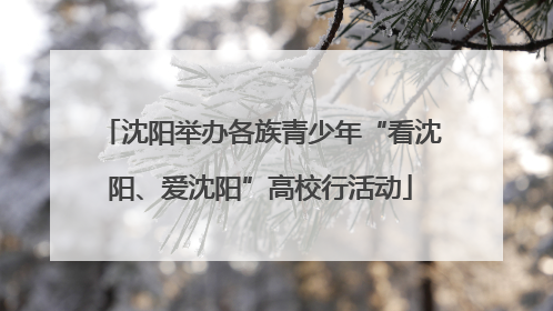 沈阳举办各族青少年“看沈阳、爱沈阳”高校行活动