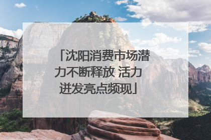 沈阳消费市场潜力不断释放 活力迸发亮点频现