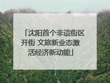 沈阳首个非遗街区开街 文旅新业态激活经济新动能
