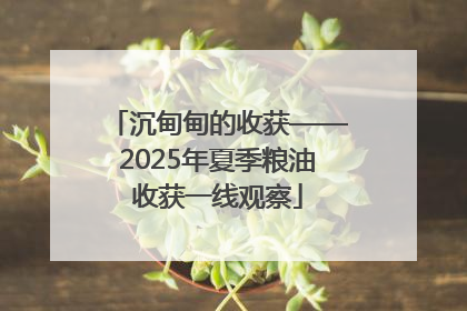 沉甸甸的收获——2025年夏季粮油收获一线观察