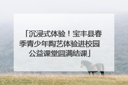 沉浸式体验！宝丰县春季青少年陶艺体验进校园公益课堂圆满结课