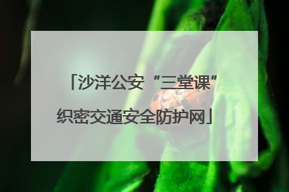 沙洋公安“三堂课”织密交通安全防护网
