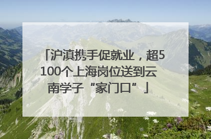 沪滇携手促就业，超5100个上海岗位送到云南学子“家门口”