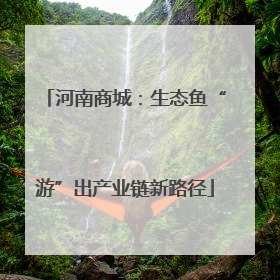 河南商城：生态鱼“游”出产业链新路径