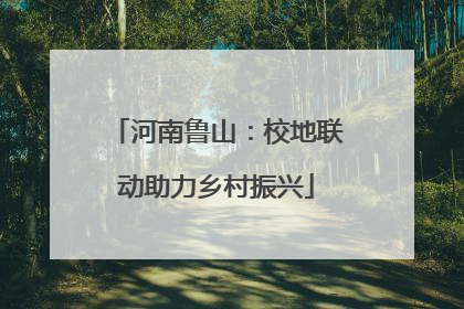 河南鲁山：校地联动助力乡村振兴