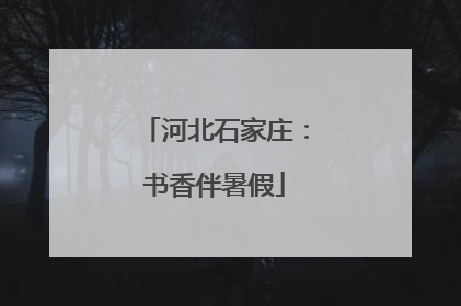 河北石家庄：书香伴暑假
