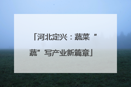 河北定兴：蔬菜“蔬”写产业新篇章