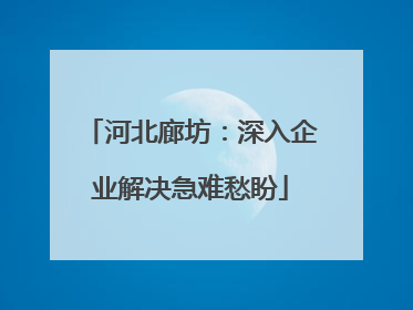 河北廊坊：深入企业解决急难愁盼