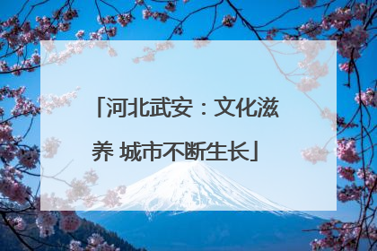 河北武安：文化滋养 城市不断生长