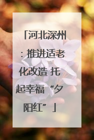 河北深州：推进适老化改造 托起幸福“夕阳红”