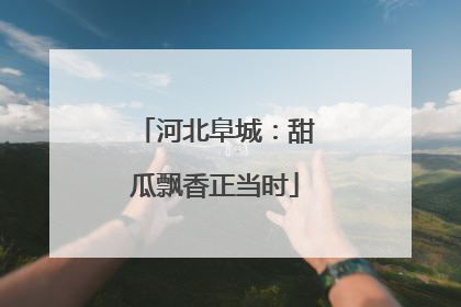 河北阜城：甜瓜飘香正当时