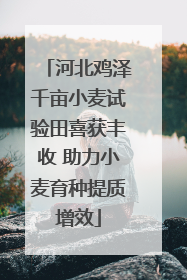 河北鸡泽千亩小麦试验田喜获丰收 助力小麦育种提质增效