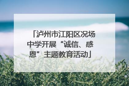 泸州市江阳区况场中学开展“诚信、感恩”主题教育活动