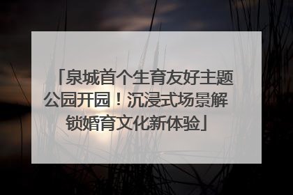 泉城首个生育友好主题公园开园！沉浸式场景解锁婚育文化新体验