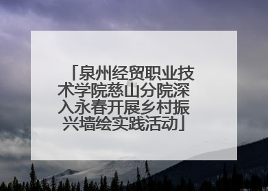 泉州经贸职业技术学院慈山分院深入永春开展乡村振兴墙绘实践活动