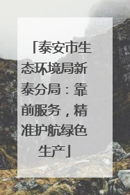 泰安市生态环境局新泰分局：靠前服务，精准护航绿色生产