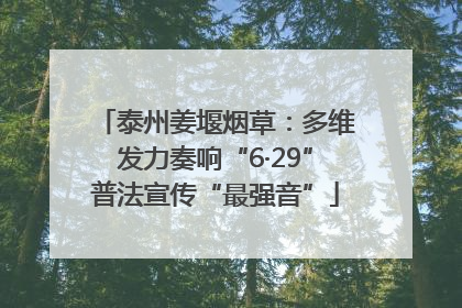 泰州姜堰烟草：多维发力奏响“6·29”普法宣传“最强音”