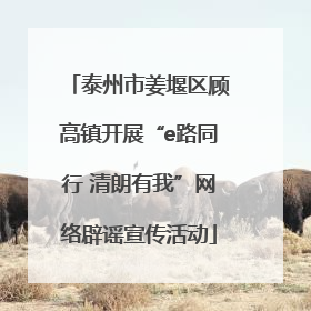 泰州市姜堰区顾高镇开展“e路同行 清朗有我”网络辟谣宣传活动