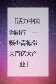 活力中国调研行｜一颗小青梅带来百亿大产业