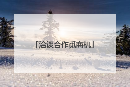 洽谈合作觅商机