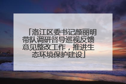 洛江区委书记颜丽明带队调研督导巡视反馈意见整改工作，推进生态环境保护建设