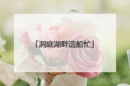 洞庭湖畔造船忙