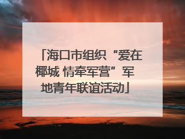 海口市组织“爱在椰城 情牵军营”军地青年联谊活动