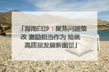 海南白沙：聚焦问题整改 激励担当作为 绘就高质量发展新图景