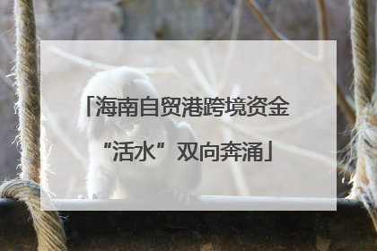 海南自贸港跨境资金“活水”双向奔涌