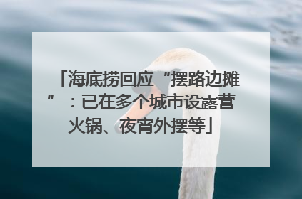 海底捞回应“摆路边摊”：已在多个城市设露营火锅、夜宵外摆等