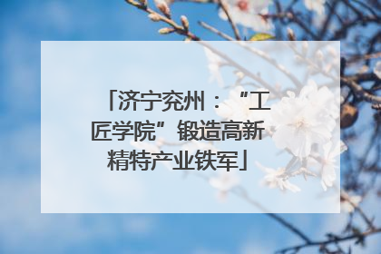 济宁兖州：“工匠学院”锻造高新精特产业铁军