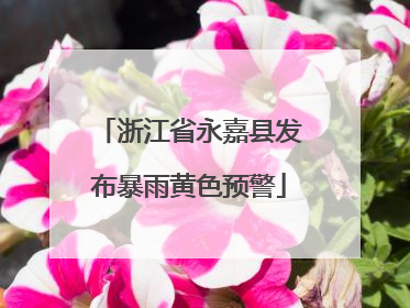 浙江省永嘉县发布暴雨黄色预警
