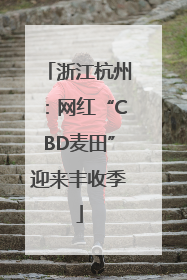 浙江杭州：网红“CBD麦田”迎来丰收季