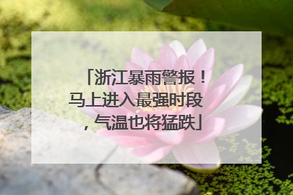 浙江暴雨警报！马上进入最强时段，气温也将猛跌