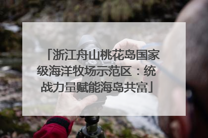 浙江舟山桃花岛国家级海洋牧场示范区：统战力量赋能海岛共富