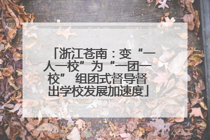 浙江苍南：变“一人一校”为“一团一校” 组团式督导督出学校发展加速度