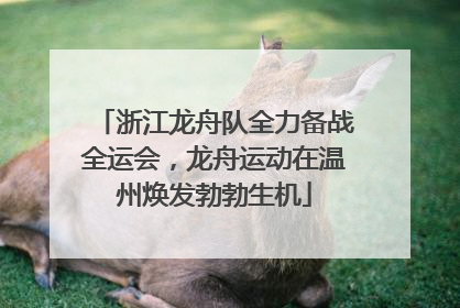 浙江龙舟队全力备战全运会，龙舟运动在温州焕发勃勃生机
