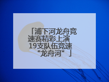 浦下河龙舟竞速赛精彩上演 19支队伍竞速“龙舟河”
