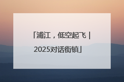 浦江，低空起飞｜2025对话街镇