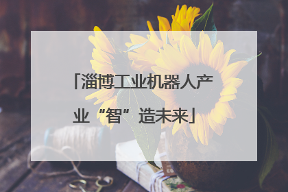 淄博工业机器人产业“智”造未来