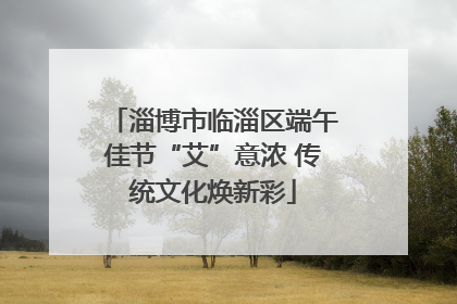 淄博市临淄区端午佳节“艾”意浓 传统文化焕新彩