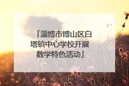 淄博市博山区白塔镇中心学校开展数学特色活动