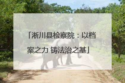淅川县检察院：以档案之力 铸法治之基
